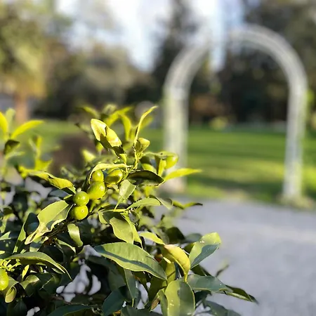Fantastic Garden - Firenze Nord Hotel 4*