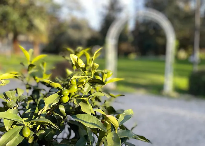 Fantastic Garden - Firenze Nord Hotel 4*